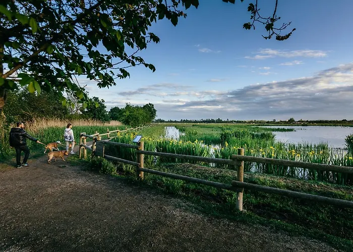 Apart-rent Port Ducal 0148 Empuriabrava